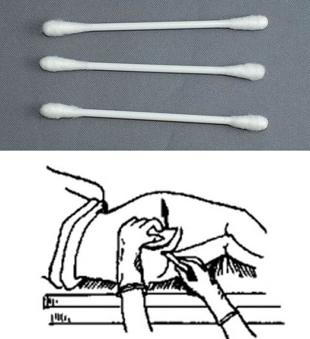 Analyse sticks