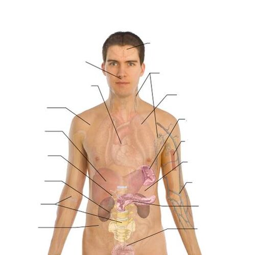 tekenen van de aanwezigheid van parasieten in verschillende organen